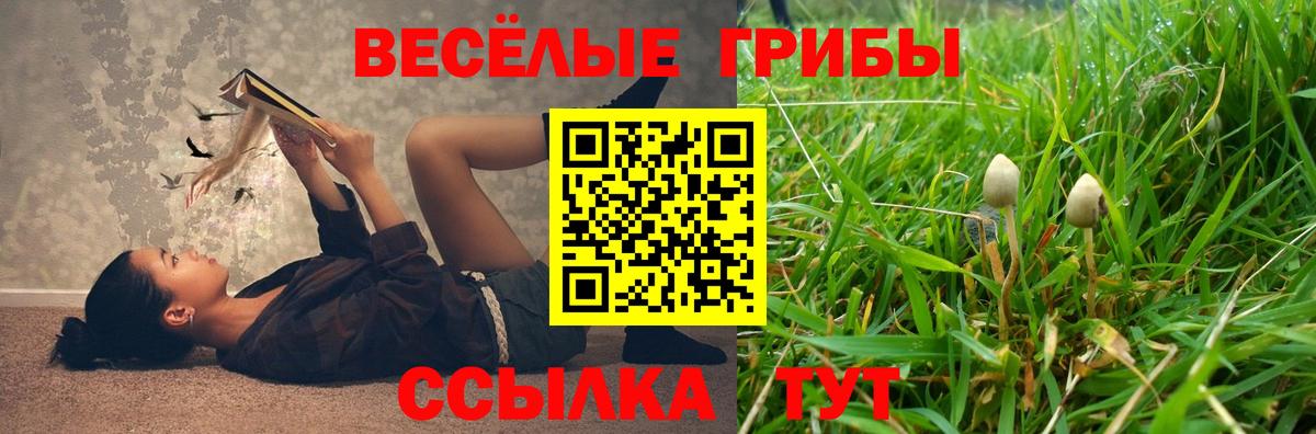 Псилоцибиновые грибы GOLDEN TEACHER Санкт-Петербург