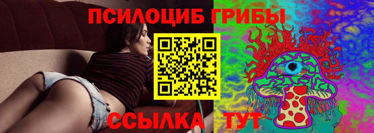 Галлюциногенные грибы Cubensis  Вход с VPN  Санкт-Петербург  Псилоцибиновые грибы Psilocybe 